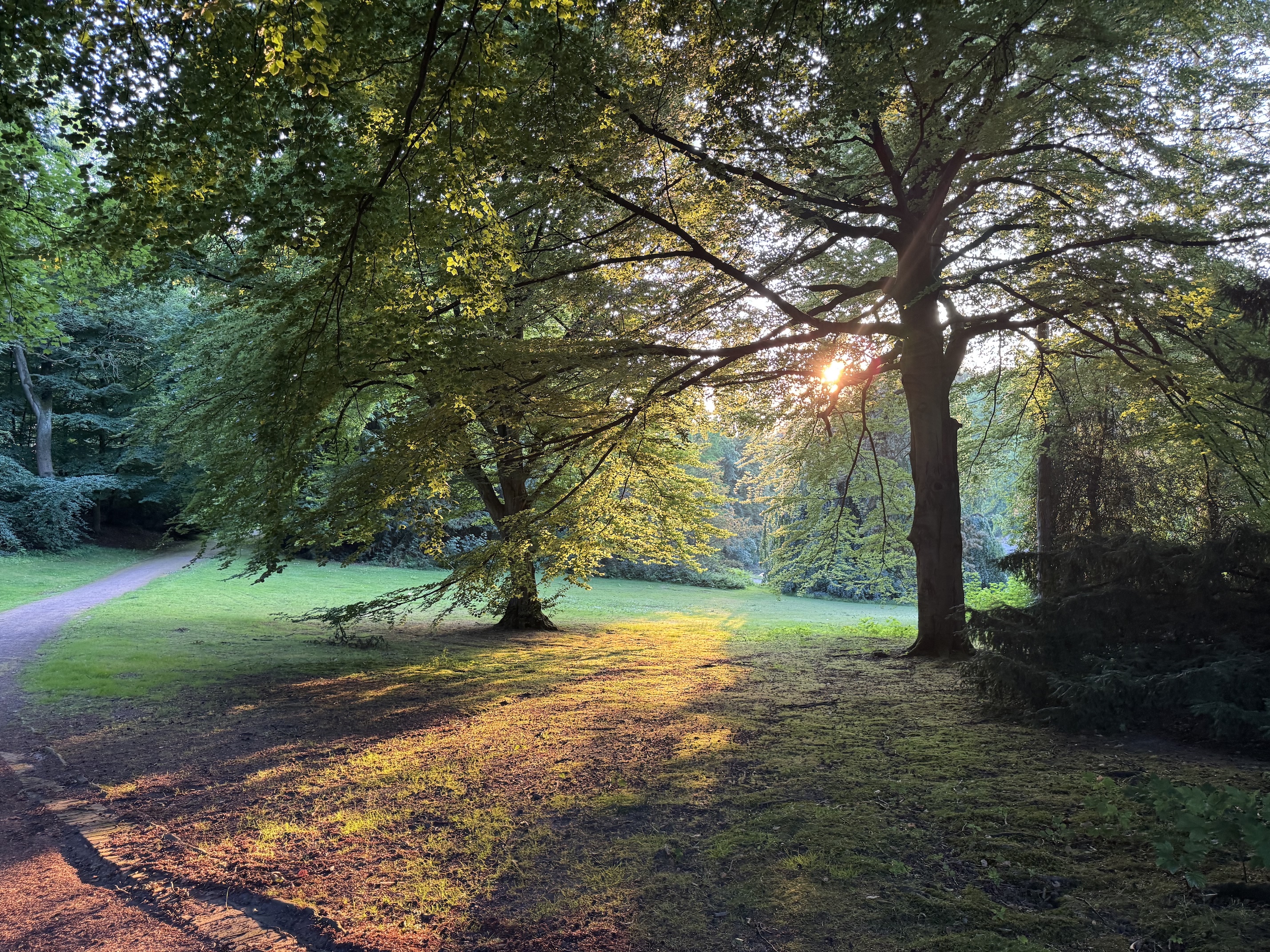 Psychosomatik Düsseldorf